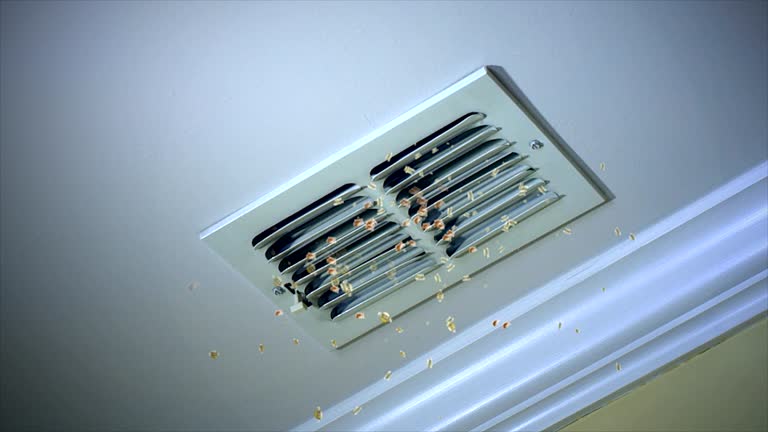 Best Air Duct Cleaning Company Near Me  in Maplewood, MN