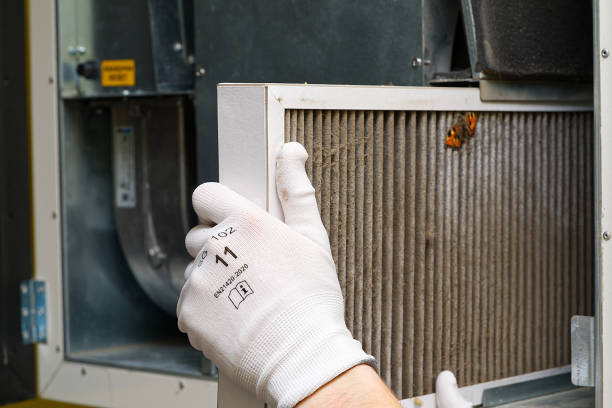 Best HVAC System Cleaning  in Maplewood, MN